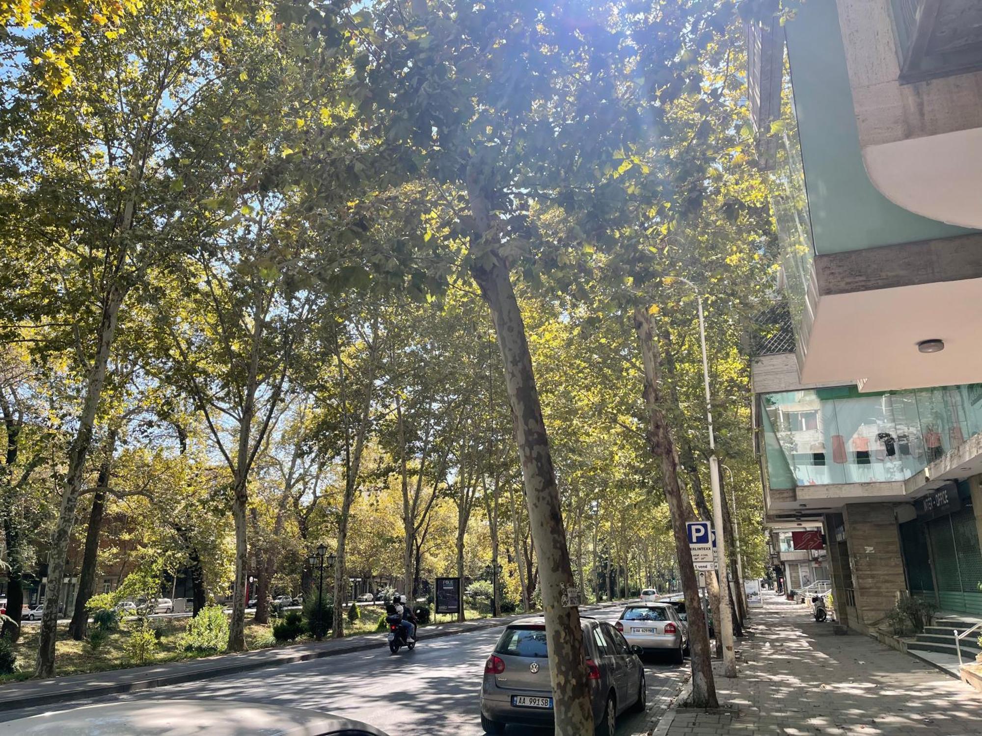 דירות My Tirana2 מראה חיצוני תמונה
